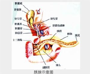 小兒急性胰腺炎