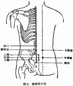 維生素缺乏病