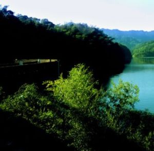 赤水竹海國家森林公園