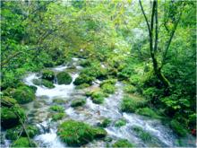 神農峽岩屋溝風景區