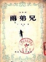 丁明[當代劇作家]