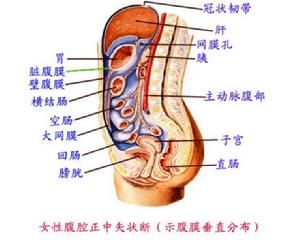 食管胃底靜脈曲張