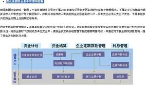 強化集團資金集中管理和控制