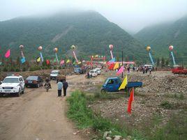 嶺東村[遼寧莊河市桂雲花鄉下轄村]