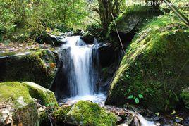 湖南都龐嶺國家級自然保護區