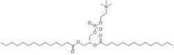 二肉豆蔻醯磷脂醯膽鹼(DMPC)