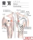 膏肓穴位置