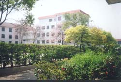 長青學校