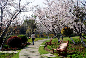 黎安公園