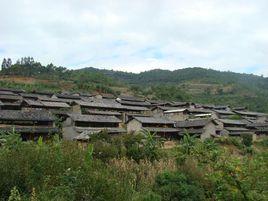 蔣家村[雲南省保山市施甸縣太平鎮蔣家村]