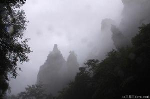 神鷹護鞭風景（2）