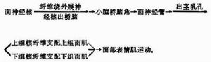 遲發性運動障礙