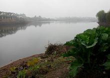 雨中逛帶湖