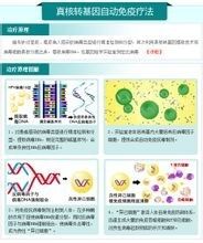 真核轉基因自動免疫療法