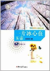 螞蟻小說：一片冰心在玉壺