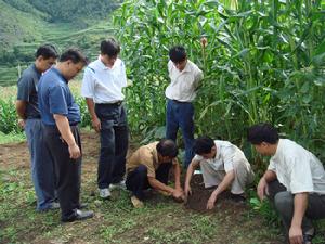 （圖）隆林縣推廣農業技術
