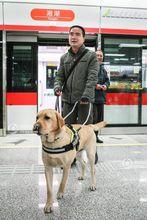 導盲犬