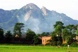 大頂山[武漢黃陂大頂山]