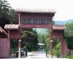 國家森林公園