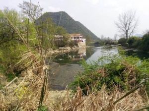 新河灣村