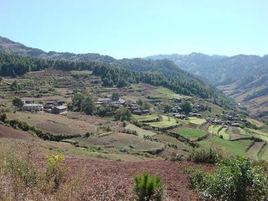 甸心村[易門縣六街鎮茶樹村民委員會下轄村]