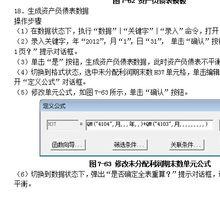 新會計信息化實用教程