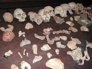南猿人骨化石遺蹟