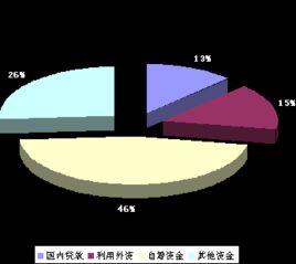 自籌資金