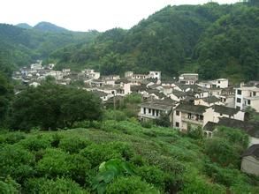 鮑莊村[江蘇省泰州市海陵區寺巷鎮下轄村]