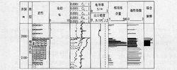 錄井綜合示意圖