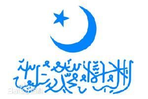 東突厥斯坦伊斯蘭共和國