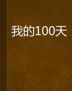 我的100天