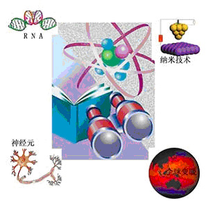 12月21日出版的美國《科學》雜誌評出了2001年十大科技成就