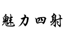 魅力四射[訊連科技製作發行軟體產品]