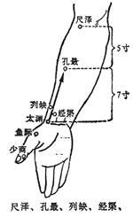 （圖）尺澤穴