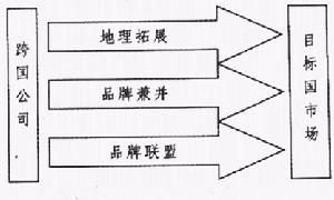 巴瓦依斯和羅伯遜全球市場品牌進入理論