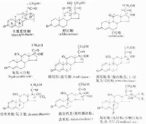 糖皮質激素受體