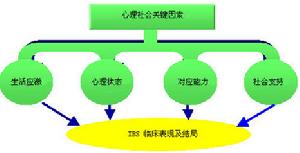 （圖）腸易激綜合症