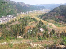 羅家畈村[湖北省黃岡市羅田縣九資河鎮下轄村]