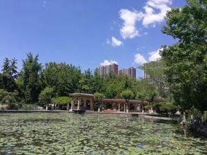 平安公園[河北石家莊市公園]