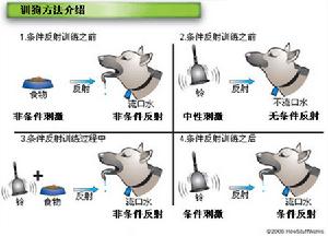 （圖）訓狗