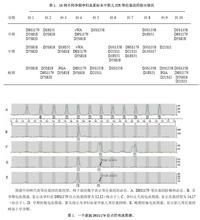 短串聯重複序列