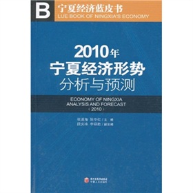 2010年寧夏經濟形勢分析與預測