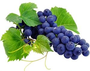 Grapes