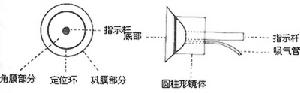 眼內異物