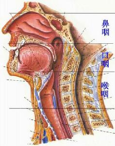 鼾症的治療方法