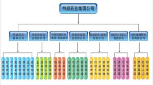 組織架構