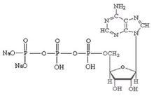 5'-二磷酸腺苷