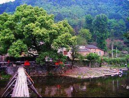 安義村[雲南省鳳慶縣詩禮鄉下轄村]