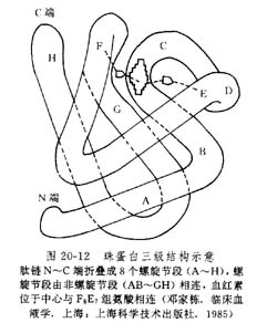 其他蛋白粒子病